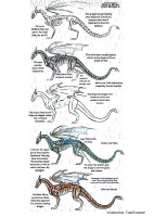 como dibujar dragones.pdf